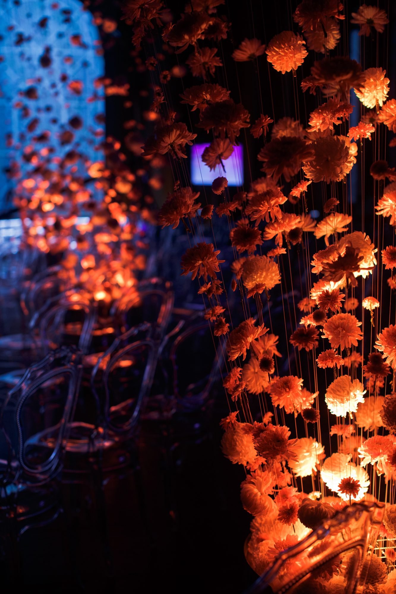 Marigold & Floral Backdrop for Haldi Ceremony